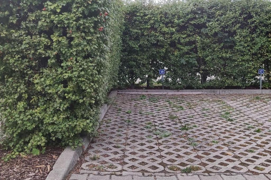 Fewo - Seensucht Am Zwenkauer See Exteriér fotografie